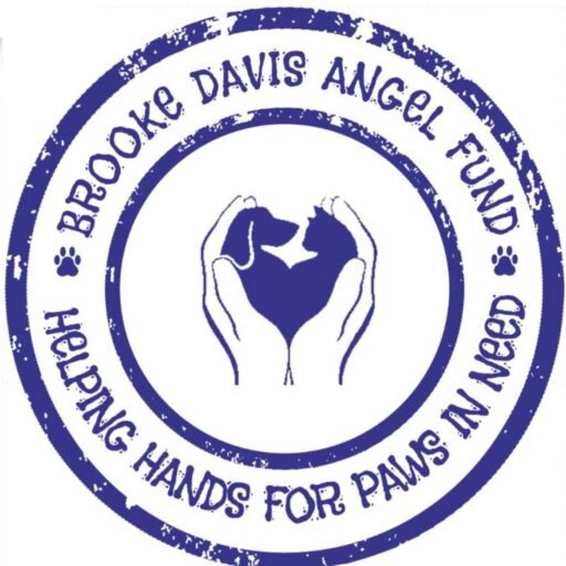 BDAF Logo